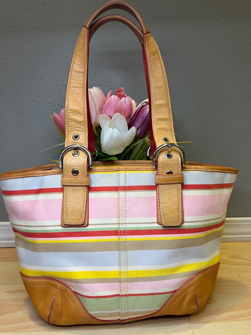 Coach Hampton Stripe Multicolor Canvas Handbag